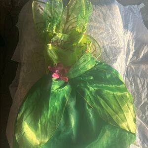 Disney Green and Pink Fairy Costume for Kids